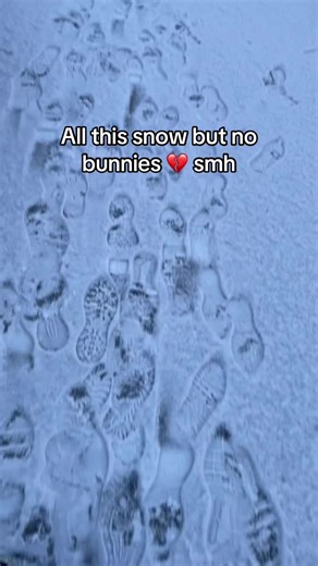 snow bunny season? ❄️🐰#snow #winter #fyp #cold #weather