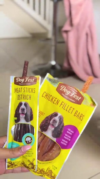 #Mimosa #MimosaPom #pomeranian @petfest.co.uk