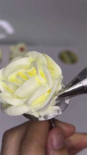 Learn to make flowers 🌹 🎂 #cake #cakedecorating #caketraining #cupcake #cakedesign #diy