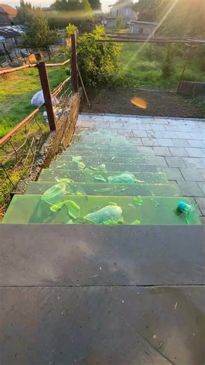 Satisfying Glass Bottle ASMR Experience - Part 509