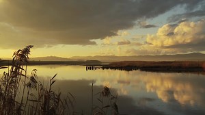 2K views · 79 reactions | In the golden glow of afternoon light,...