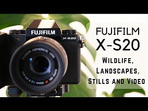 FUJIFILM X-S20 - Review for Wildlife, Landscapes, Video and Stills.