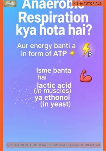 Anaerobic Respiration kya hota hai? 🧬 | Without oxygen 😱
