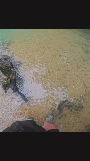 Exploring Blue Springs, Missouri