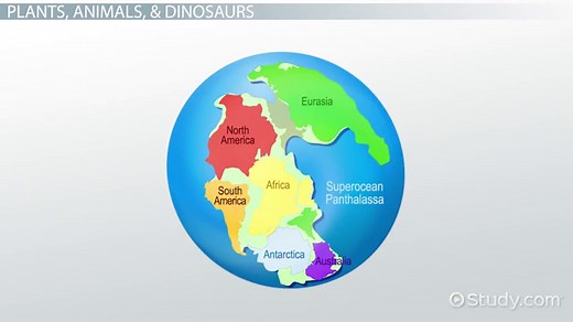 Cretaceous Period Facts: Lesson for Kids