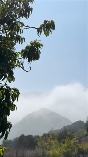 Cooking with fire isn’t about control — it’s about surrender. You listen to the wind, you wait for the flame to speak. The land gives you what it wants, not what you ask for… in the words of Francis Mallmann. In a world that forgot how to slow down, this is our quiet revolution — a return to the primordial, to hands blackened by smoke and dirt. A quiet return to the elements — rediscovering what it means to be present, wild, and alive. Thanks to @chefthomasdrury and @usal.project for a perfect S