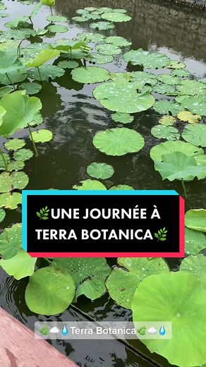 Une superbe journée à @Terra_Botanica avec nos jeunes et leurs familles🤍🌿 #sortie #terrabotanica #famille #afev #afevangers #angers #mentoat #sortiefamille #nature #vegetal #botanique