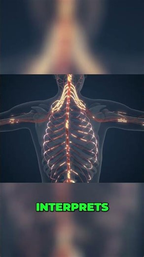 Interoception: Unlock Your Body's Internal GPS! #shorts