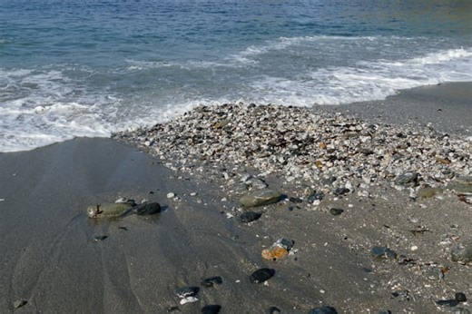 Beach, Sea, Ocean, Surf, Spray