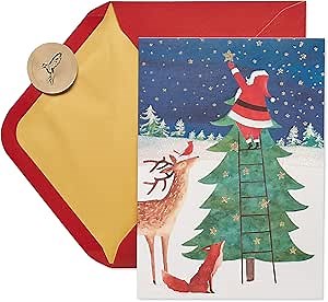 Papyrus Boxed Christmas Cards with Envelopes, Joy and Wonder, Glitter-Free Santa Scene (14-Count)