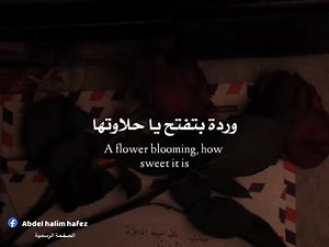 ياحلاوتها 🥺❤️ | Abdel Halim Hafez