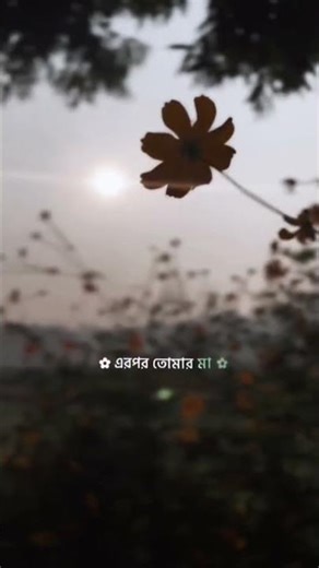 সেরা অধিকার। #islamicvideo #foryou #youtubeshorts #viralvideo ‪@AnNafee_Official‬ #banglawaz