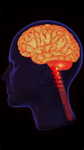 Apophenia: Why Coincidences Feel Personal