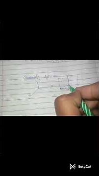 Undergraduate Physics | Vector Analysis (Part 1) | Coordinate System Basics Explained