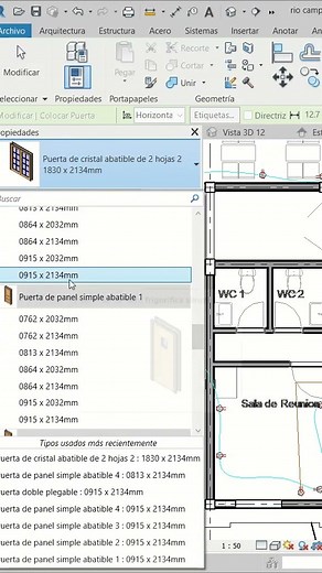 DOORS in REVIT