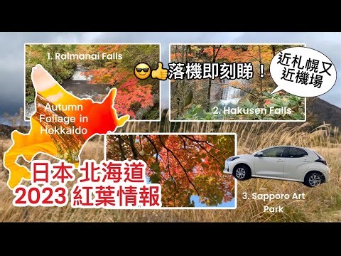 【北海道2023紅葉】🍁最新初秋4K直擊獨家絕景🍁～惠庭溪谷～白扇瀑布～極近新千歲及札幌市～自駕遊紅葉全接觸 ｜W/EngSub:Autumn Foliage in Sapporo, Hokkaido