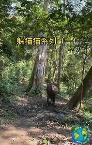 5.2K views · 157 reactions | Natural life | Natural World | Facebook