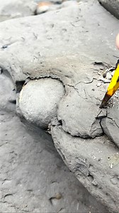 The sea may look calm now 🌊 but millions of years ago it was home to monstrous marine reptiles and swarms of ammonites 🦑🦖 Every fossil is a snapshot of that world 🤯 For ammonite rocks to crack open, please visit our official online store yorkshirefossils.NET (link in bio) or message directly on Instagram @yorkshire.fossils 🦕 For more videos, check our YouTube / TikTok! 🏝 Thanks for supporting our page! 🐊 #natural #nature #fossil #fossils #ancient #animals #art #fblifestyle #ammonite #ammo