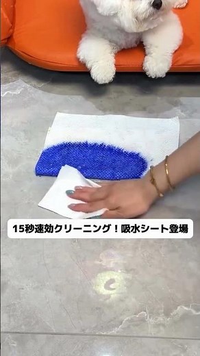 粗相救世主登場！15秒でおしっこを吸水、ニオイも一緒に消滅✨ #トイレトレーニング #ペット吸水シート#ペットライフハック #犬との暮らし#犬用品