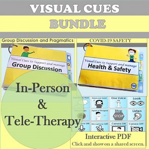 Visual Cue Bundle: In-Person, Social Distancing and Teletherapy