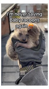 1.2M views · 14K reactions | Help! #animals | StoryTime | Facebook