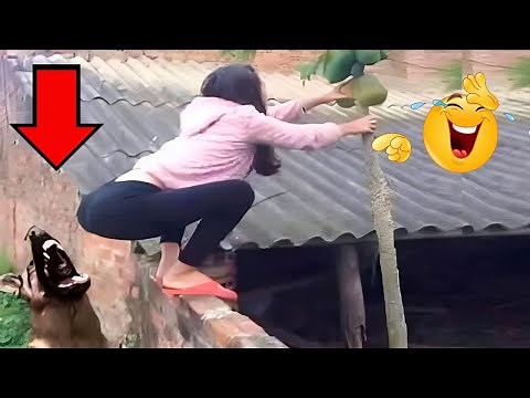 TENTE NÃO RIR - Melhores Memes e Vídeos Engraçados 2025 #4