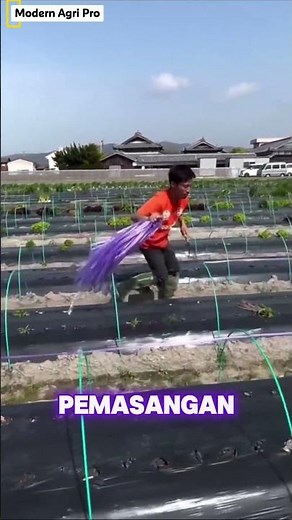Unique Agricultural Tool Innovations That Make Farmers' Work Easier