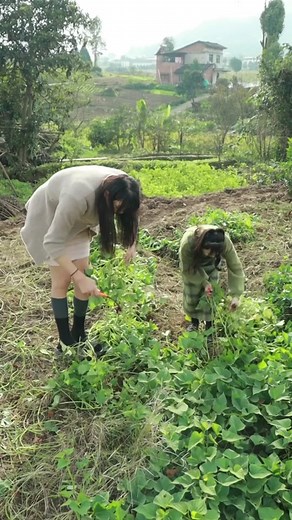 Tall Chinese Girl: The Incredible Story of a Super Tall Woman