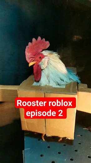 rooster roblox episode 2