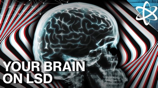 Why LSD Unlocks Hidden Potential But Also Wreaks Havoc On The Mind