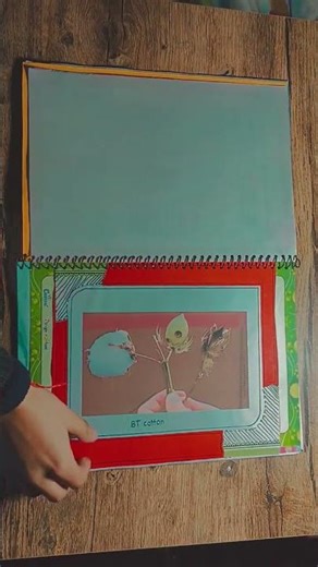 biotechnology and its applications biology project file class 12#projectfilemakingideas