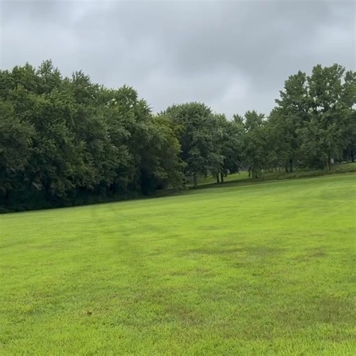 2.4K views · 59 reactions | The Raptor Center on Reels | Facebook