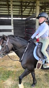 deserves more love! Use TAEGAN23 at rubyroosaddles.com to get this saddle for less than $850 brand new. #PonyKids #equitation #pony | Shiny Pony | Facebook