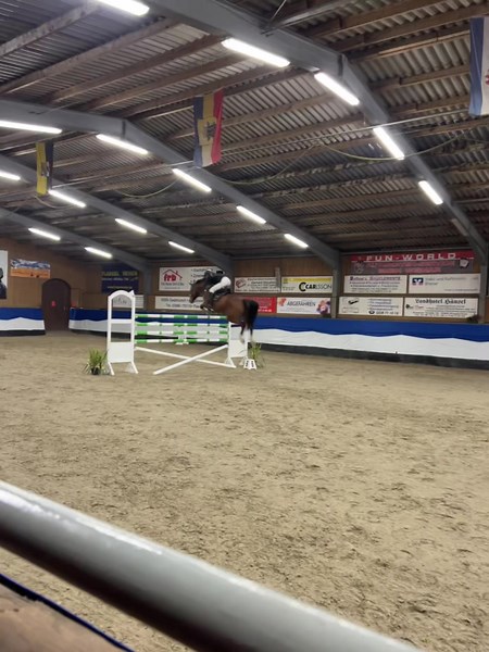 7-jähriger Zilli überwindet Barrieren im Springreiten