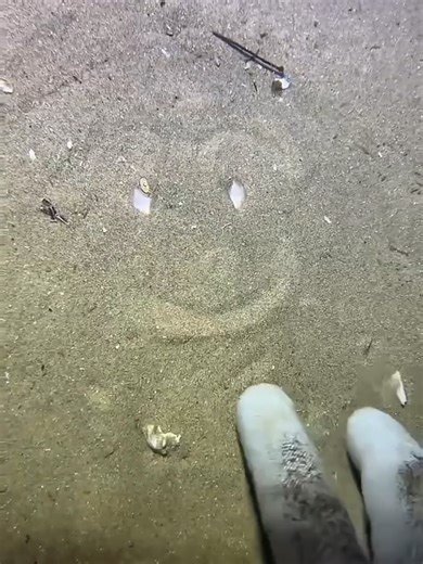 AIFuture Robots. on TikTok