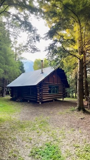 13 Acres of Hunting Land and an Off-Grid Cabin for $145,000! | Forest Cabins