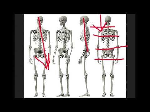 Pudendal Nerve Pain - And Upper Cervical/Structural Chiropractic
