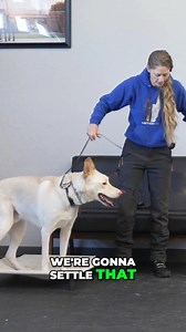 46K views · 706 reactions | Want to Become a Certified Professional...