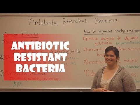 Antibiotic Resistant Bacteria