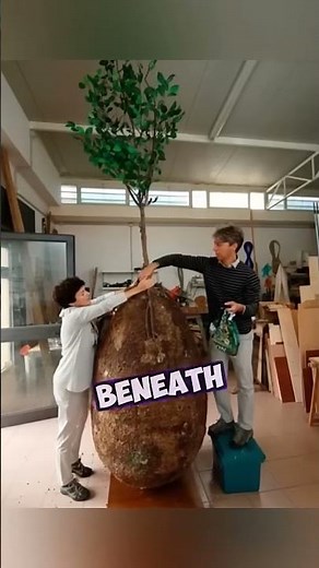 Tree Pod Burial - EXPLAINED!