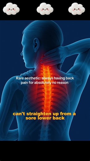 Lumbar Support Belt for Back Pain Relief