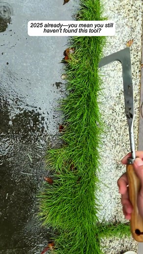 Top Garden Tools for 2025 You Shouldn't Miss