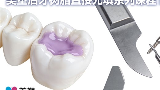 【美塑】后牙树脂直接充填系列课程1-13期