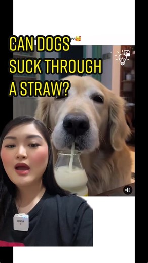 Can Dogs Drink Through a Straw? Exploring Canine Straw Usage