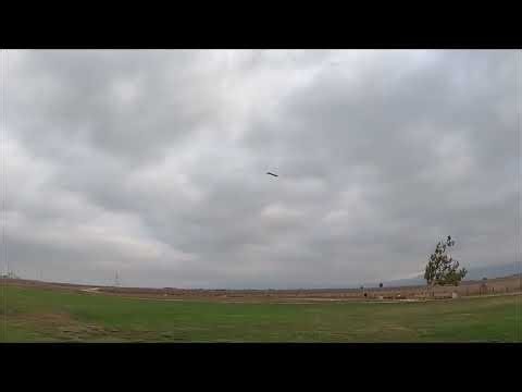 Giant Monocopter with Maneuvers