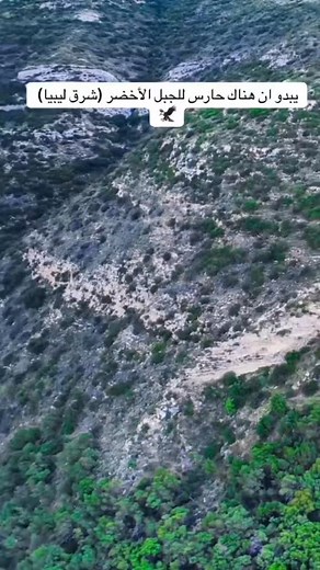 LibyaTimes on Reels | Facebook