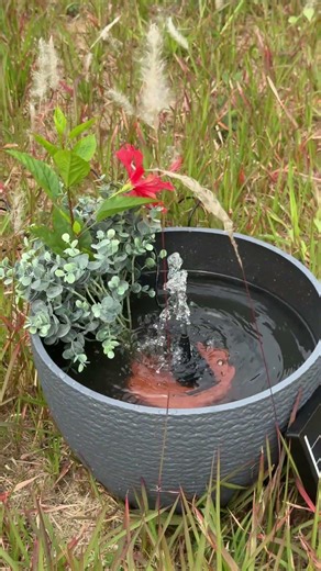 DIY Mini Pond: From a Flower Pot