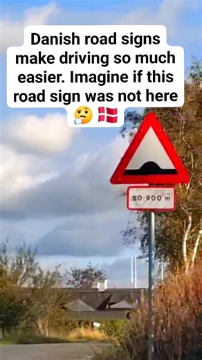 🇩🇰 Danish road signs make driving so much easier, imagine if this road sign was not here 🤔 you can’t just jump into a pothole without knowing it’s there 🚗 #foryou #fblifestyle #fbreels #denmark #everyone | Lum Pedersen's Family
