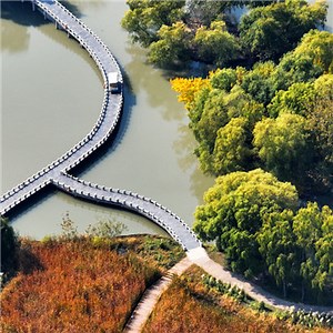 【央视快评】谱写全球湿地保护新篇章