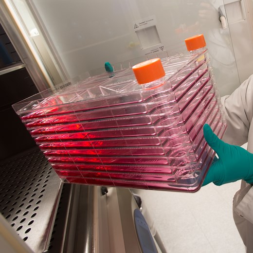 Corning High Yield PERformance (HYPER) Technology | Vaccine, Protein, and Virus Production Products | Corning